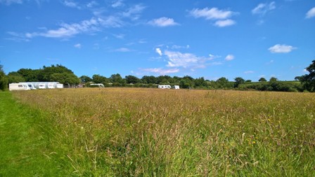 field walk